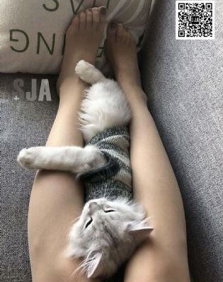 国产宝马x3价格表_剧情片手机免费观看完整