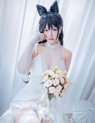 欧美亚洲狗在线看_全集高清百度云未删减2020